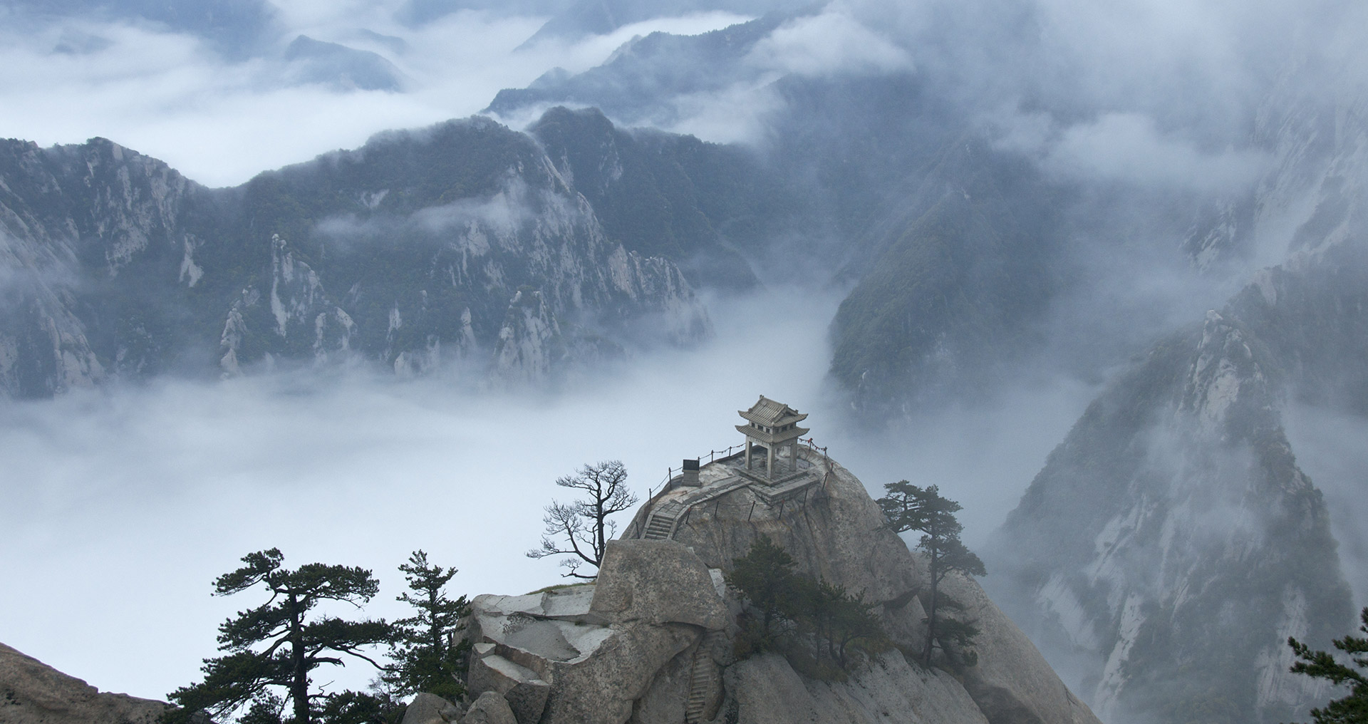 手机版ddos攻击器